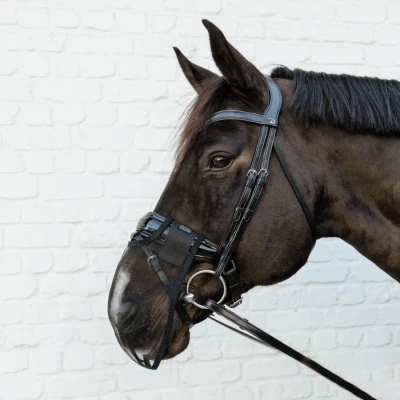 Image de Kentucky Anti Fly Nose Net