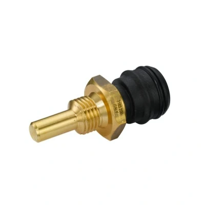 Afbeelding van Hella Temperatuursensor 6PT 009 107 491