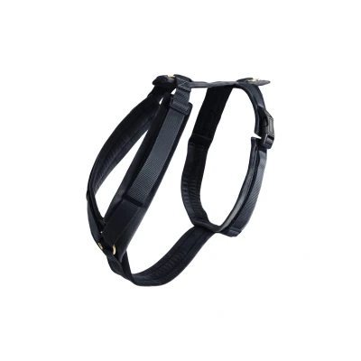 Image de Kentucky Harnais Active velours Noir