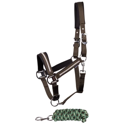 Image de Harry&#039;s Horse Ensemble Licol Valli RosinVendu par Agradi