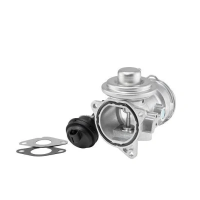Afbeelding van WAHLER 7372D/1 EGR klep Pneumatisch Met pakkingen VOLKSWAGEN: Transporter 5, 5 Bus, Sharan I, AUDI: A4 B6 Saloon, A6 C5 Avant, Avant