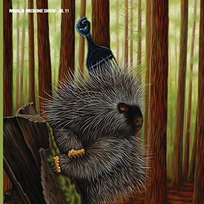 Afbeelding van Madlib Low Budget High Fi Music (2 LPs)