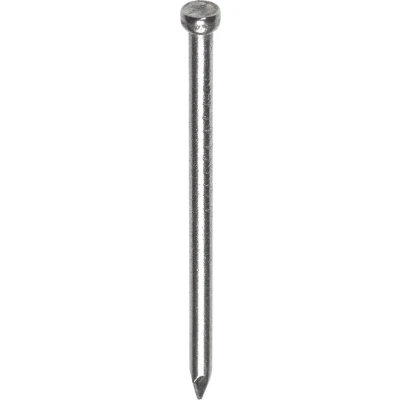 Afbeelding van NNDI draadnagel 3,0x65mm verzinkt verloren kop (Per 5 kg)