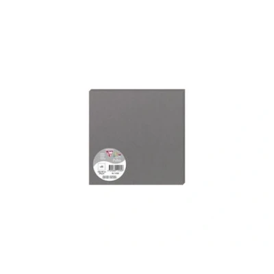 Image de Pack de 25 cartes Pollen 160 x mm Gris acier