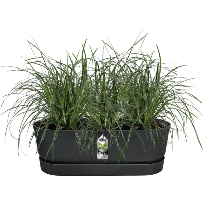 Afbeelding van greenville easy balcony 52cm elho