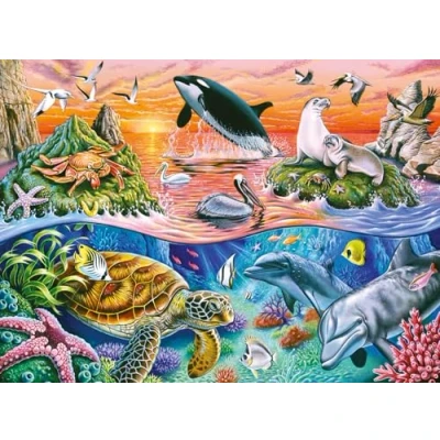 Image de 100 XXL L&#039;OCÉAN COLORÉ