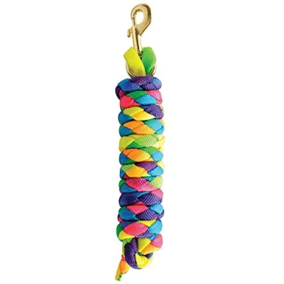 Afbeelding van Roma Rainbow Licol pour poney/cheval : longe
