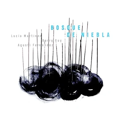 Afbeelding van Agusti Fernandez Bosque De Niebla (CD)