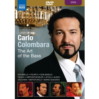 Afbeelding van Carlo Colombara Colombara: The Art Of Bas (DVD)