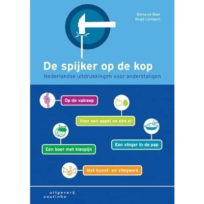 Afbeelding van de spijker op kop