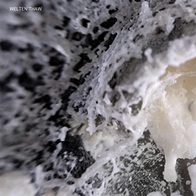 Afbeelding van Welten Thaw (LP)