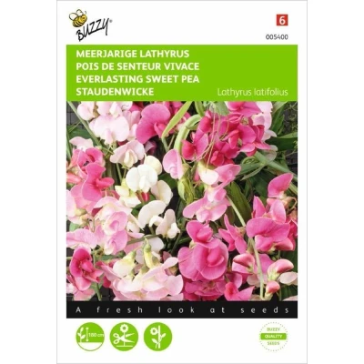 Afbeelding van Lathyrus latifolius Gemengd Buzzy