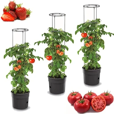 Afbeelding van botle Set van 3 tomatenbloempotten 12 liter Tomaten pot Plantenpot Groenten wassen