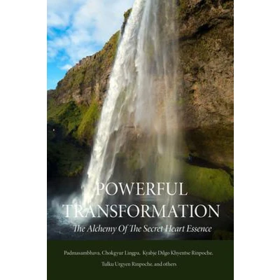 Afbeelding van Powerful Transformation