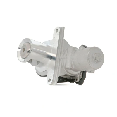 Afbeelding van DELPHI EG10425 12B1 EGR klep Zonder pakking RENAULT: SCENIC 2, Modus / Grand Modus, NISSAN: Qashqai Qashqai+2 I, DACIA: Logan I MCV