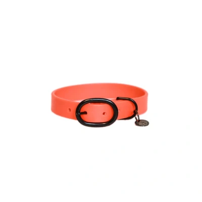 Image de Kentucky Collier Soft Caoutchouc Neon Orange 71cm