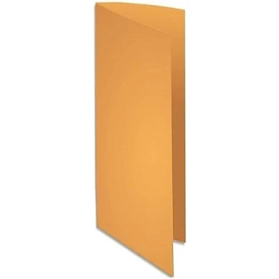Afbeelding van Exacompta Ref. 210026E 100 stuks Rock&#039;s hardmappen 210 g/m² in felle kleuren PEFC gecertificeerde mappen afmetingen 24 x 32 cm voor DIN A4 kleur oker