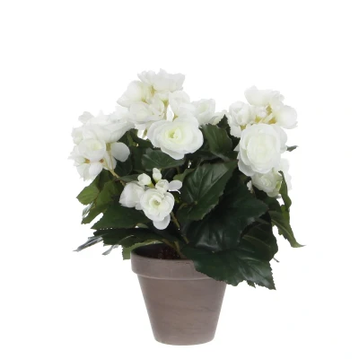 Afbeelding van Mica Decorations begonia maat in cm: 30 x 25 wit