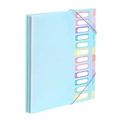 Image de Viquel Trieur document A4 avec 12 Compartiments Organisateur de bureau extensible Porte index Fermeture par élastique Rainbow Pastel Bleu