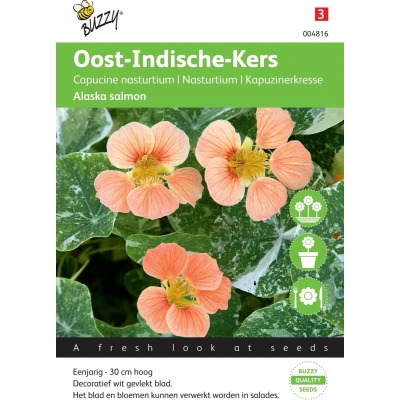 Afbeelding van Tropaeolum majus nanum Alaska TT Salmon Tuinplus Buzzy