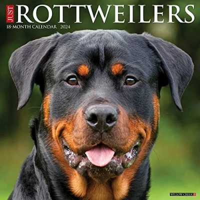 Afbeelding van Just Rottweilers 2024 12 X Wall Calendar