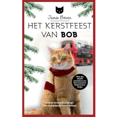 Afbeelding van Het Kerstfeest van Bob