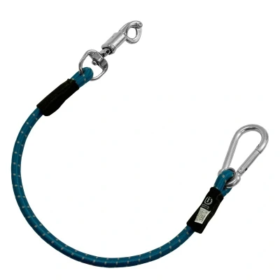 Image de Imperial Riding Longe d&#039;Attache pour Van Élastique Turquoise/Argent/Turquoise 60cm