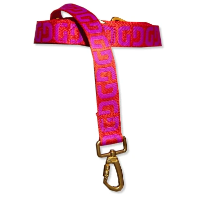 Afbeelding van Dogguo Dg Leash Rood&amp;Paars Hondenriem 200x2 cm
