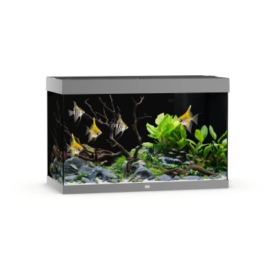 Afbeelding van Juwel Rio 290 Led Aquarium 101x51x66 cm Grijs