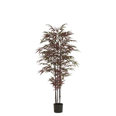 Afbeelding van Light &amp; Living Kunstplant BAMBOO 70x60x150cm Groen