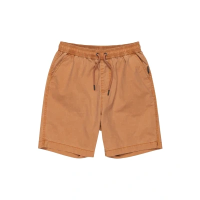 Afbeelding van Quiksilver Taxer Youth Shorts Jongens (1 stuk)