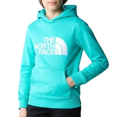 Afbeelding van The North Face Jongens Drew Peak hoodie met logoborduring in de kleur Aquablauw, maat: M = 133 141 cm