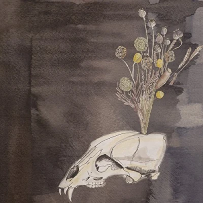Afbeelding van Steve Gunn &amp; Black Twig Seasonal Hire