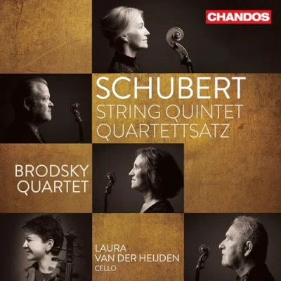 Afbeelding van Brodsky Quartet, Laura Van Der Heijden Schubert String Quintet Quartettsatz (CD)