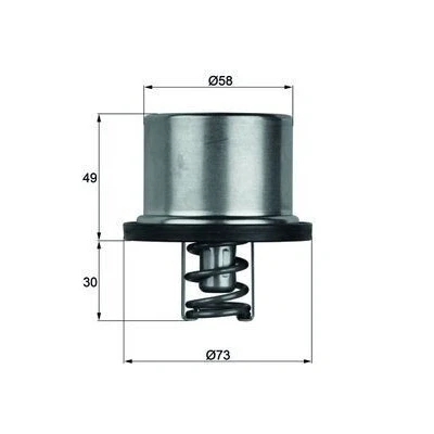 Afbeelding van Mahle Original Thermostaat THD 1 71