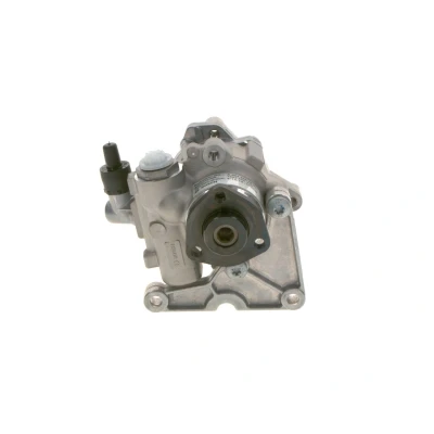 Afbeelding van Bosch Servopomp K S00 000 630