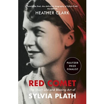 Afbeelding van Red Comet