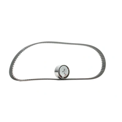 Afbeelding van Distributieriemset SKF VKMA 02206