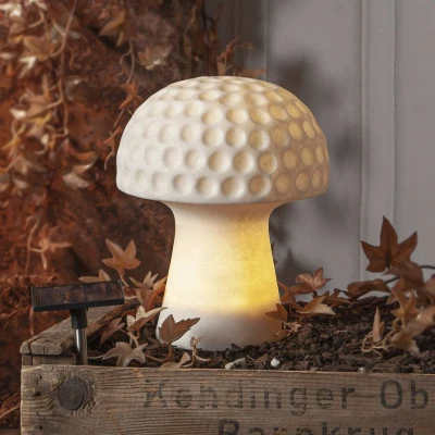 Afbeelding van Star Trading solar decoratie Sandy, zandsteen, decoratie, licht, paddenstoel, wit, schemersensor, buiten, warm 24 cm
