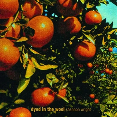 Afbeelding van Shannon Wright Dyed In the Wool (LP)