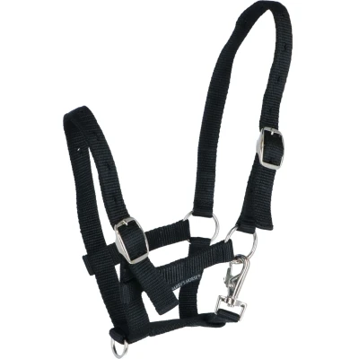 Afbeelding van Harry&#039;s Horse Veulenhalster Zwart