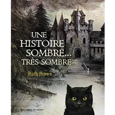 Afbeelding van Une Histoire Sombre, Tres Sombre