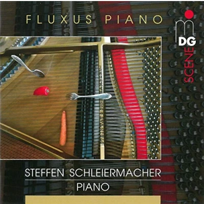 Afbeelding van Steffen Schleiermacher Fluxus Piano (CD)