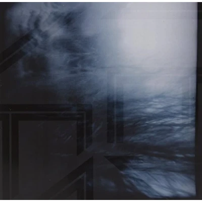 Afbeelding van Painted Wolves (LP)