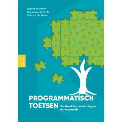 Afbeelding van Programmatisch toetsen in de praktijk