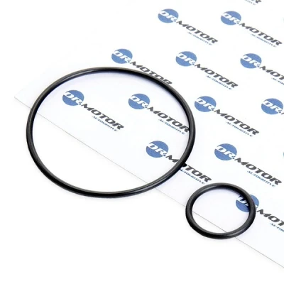 Afbeelding van Pakkingset, inlaatspruitstuk Dr.Motor Automotive DRM116