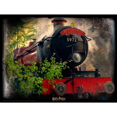 Image de 3D Image Puzzel Hogwarts Express (500 pièces)
