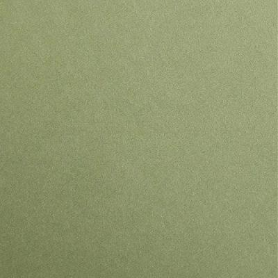 Afbeelding van Clairefontaine 97470C 25 vellen hoogwaardig fotokarton, DIN A4, 21 x 29,7 cm, 300 g, kaki