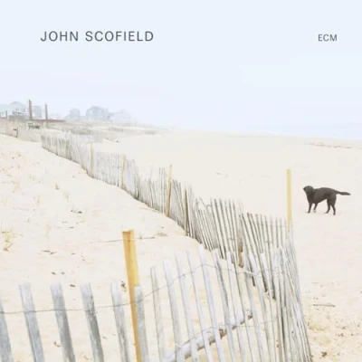 Afbeelding van John Scofield (LP)