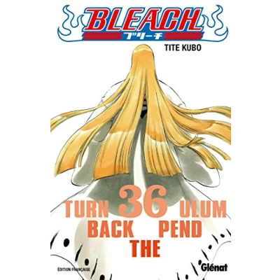 Afbeelding van BLEACH Tome 36